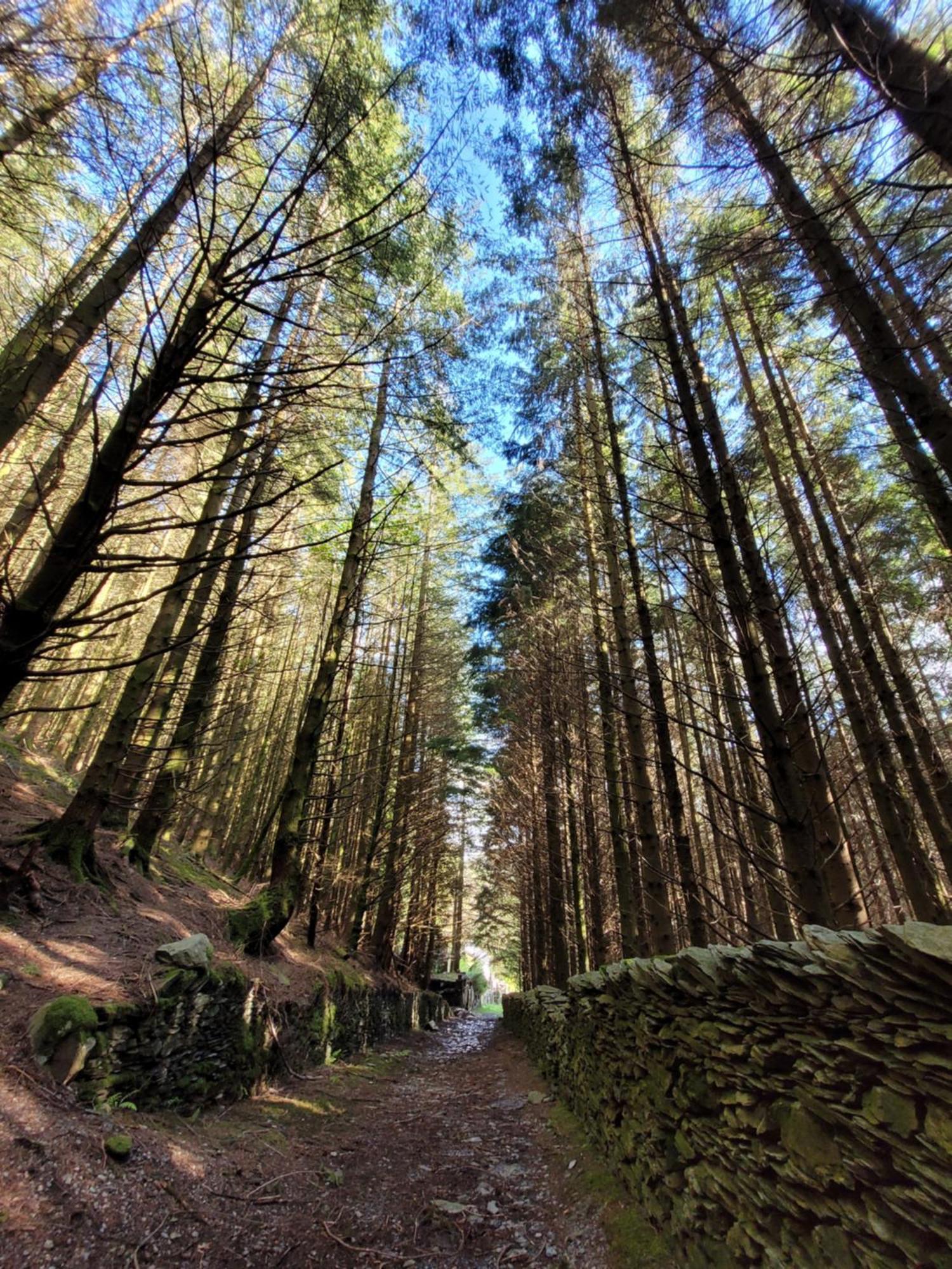 The Granary Corris On The Edge Of The Dyfi Forest Zewnętrze zdjęcie