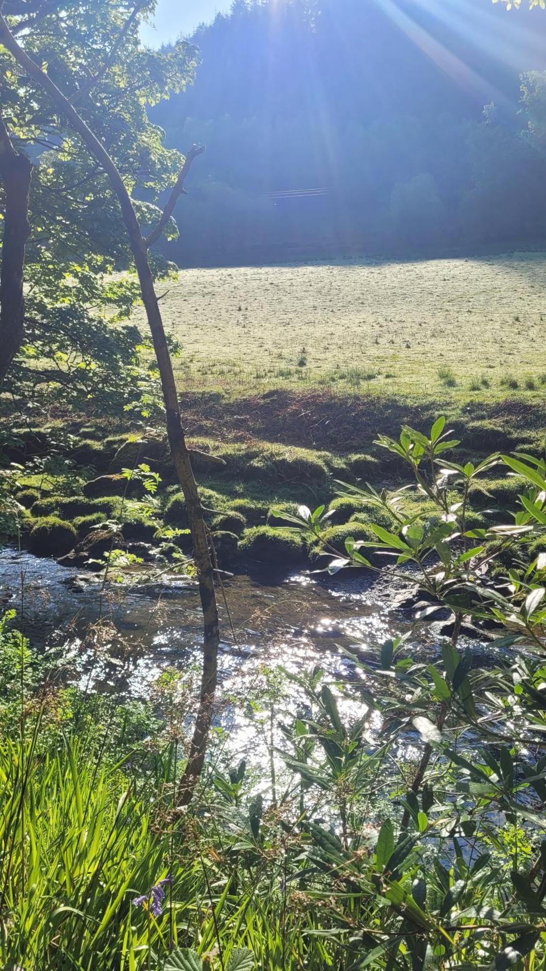 The Granary Corris On The Edge Of The Dyfi Forest Zewnętrze zdjęcie