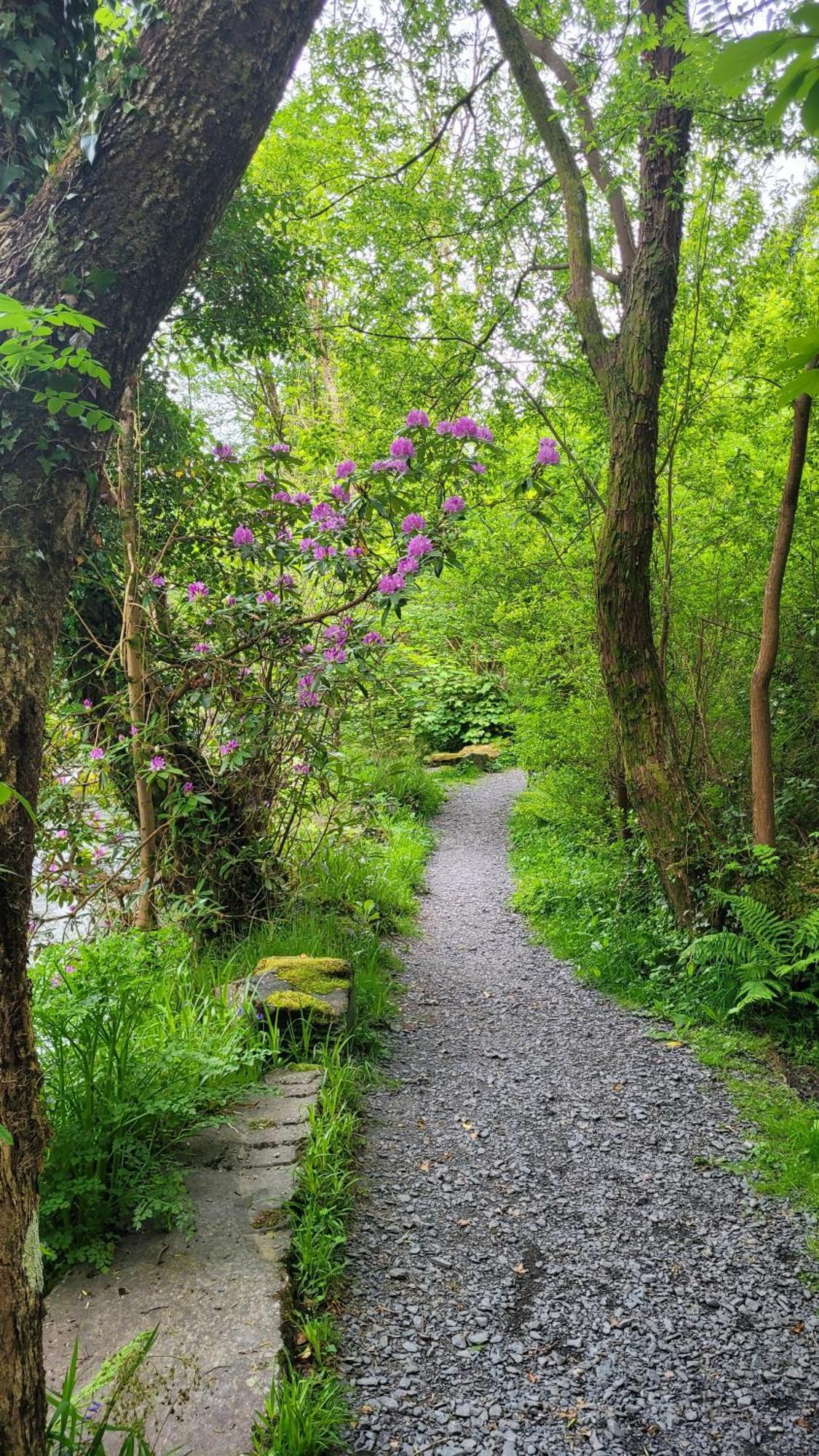 The Granary Corris On The Edge Of The Dyfi Forest Zewnętrze zdjęcie